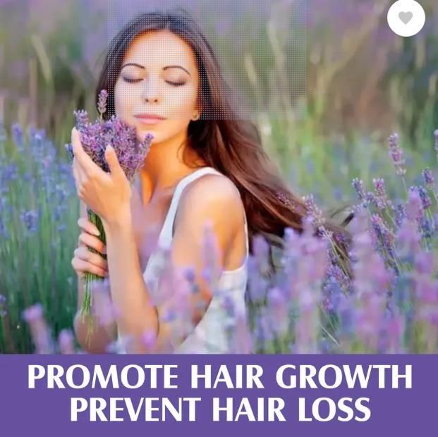 Lavender Essential Oil 30 ml - Velora